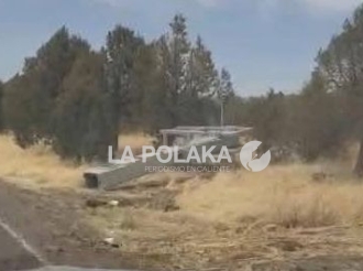 Plomo a Fisgones